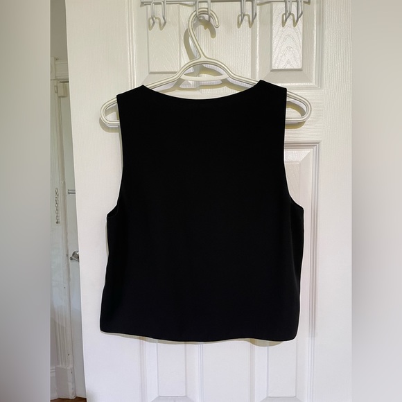 Babaton Aritzia Murphy V-Neck Sleeveless Blouse - Picture 4 of 4